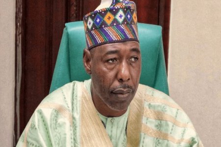 Southern Borno Residents Must Defend Themselves, Governor Zulum Stresses