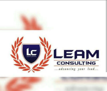 Associate Project Manager at LEAM Consulting Limited