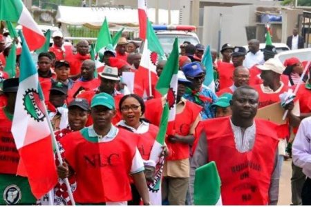 NLC Faces Setback as Key States Opt Out of Nationwide Strike