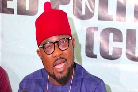 Deji Adeyanju Criticizes PDP for Expelling Ugochinyere, Calls It "Dead Party"