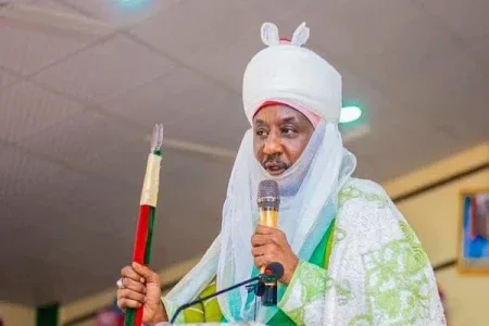 EMIR SANUSI (1).webp