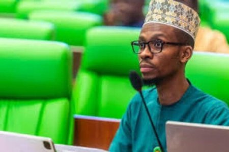 2025 Budget: El-Rufai's Son Calls for End to Yearly Purchases of Vehicles and Spoons by MDAs