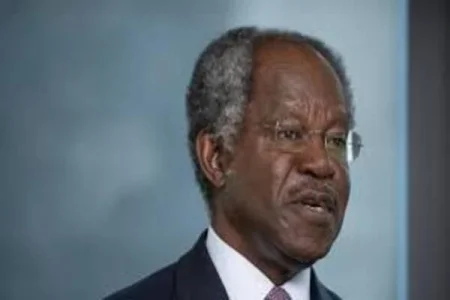 adebayo ogunlesi (1).webp adebayo ogunlesi (1).webp