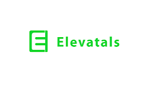 Elevatals: Nigeria's Premier Digital Marketing Agency