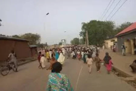 jigawa bride (1).webp