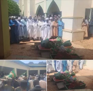 sokoto ssg.webp