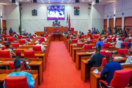 Senate Pays Heartfelt Tribute to Fallen Heroes on Armed Forces Remembrance Day