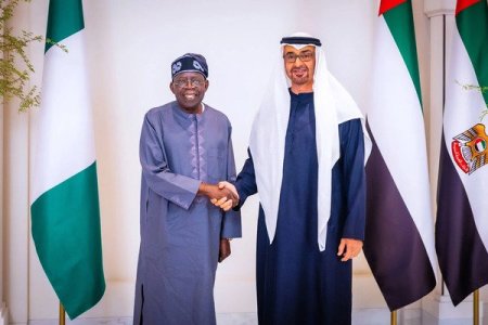 UAE President to Visit Nigeria in 2025 Following Tinubu's Invitation