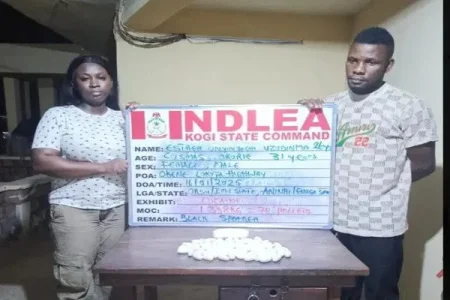 NDLEA-india- (1).webp NDLEA-india- (1).webp