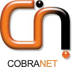 Cobranet Limited: Affordable and Reliable Internet Service Provider in Nigeria