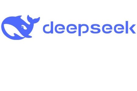 DeepSeek’s AI Search App Becomes Most Downloaded in the US