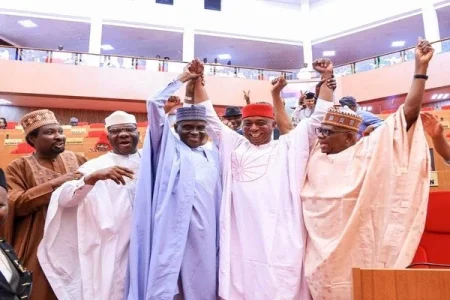 ned nwoko senate (1).jpg ned nwoko senate (1).jpg