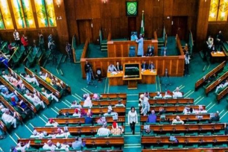 House of Reps Steps In After Deadly Clashes Over LG Leadership in Osun