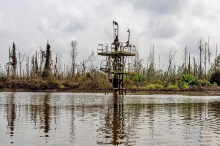 Nigeria Missing as Namibia, Côte d’Ivoire Lead Africa’s 2024 Oil Discoveries