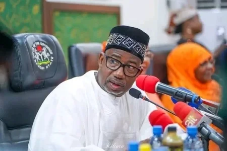 bauchi (1).webp bauchi (1).webp