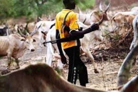 Outrage as Adamawa Farmer Gets Death Sentence for Killing Fulani Herdsman in Self-Defense