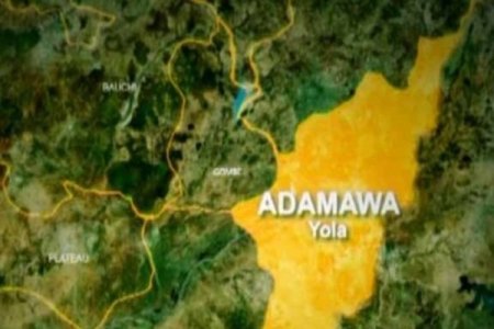 Adamawa Community in Shock as Butcher Kills Brother Over Petty Dispute