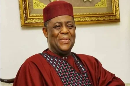 Femi-Fani-Kayode (1).webp