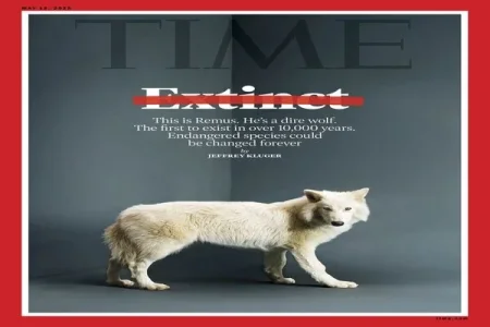 Is De-Extinction Possible? Colossal Biosciences Brings Dire Wolf Back After 12,500 Years