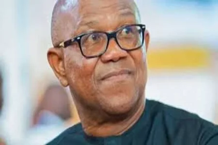 peter obi (1).webp peter obi (1).webp