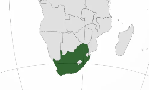 South African Horror: Boy’s Dismembered Body Found After Alleged Sale by Parents