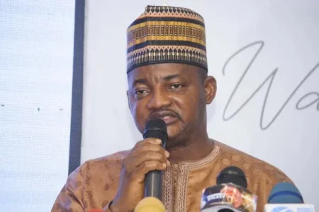 Nigerian Influencers Concerned About Ad Regulations: At What Cost