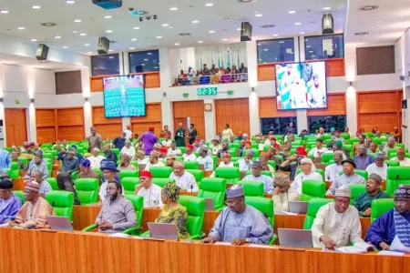 Lawmakers Halt Push for Regional Presidency and INEC Reform—Is Democracy Stalling?