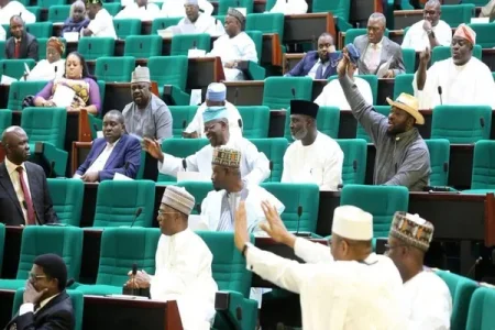 Can Compulsory Voting Fix Nigeria’s Fading Democracy?