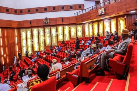 How Senate Plans to Strip EFCC, ICPC of Asset Powers