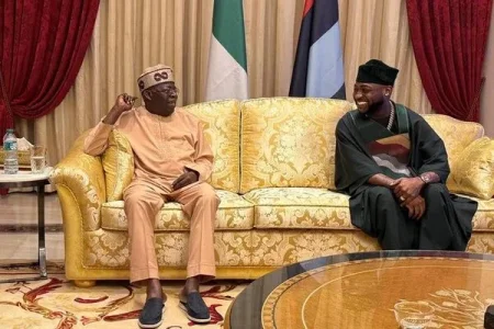 Selective Criticism? Davido’s Tinubu Visit Divides Fans Across Political Lines