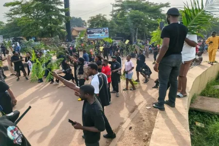 Palm Fronds of Protest: Benue Youths Block Abuja Highway After 200 Killed in Fresh Attack