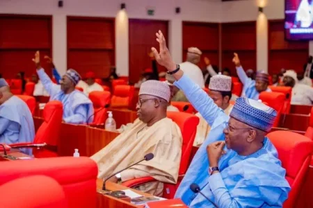 Nigerian Senate comittee (1) (1).webp Nigerian Senate comittee (1) (1).webp