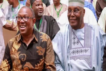 Opposition Coalition Adopts ADC: Gears Up for 2027 Amidst INEC Hurdles