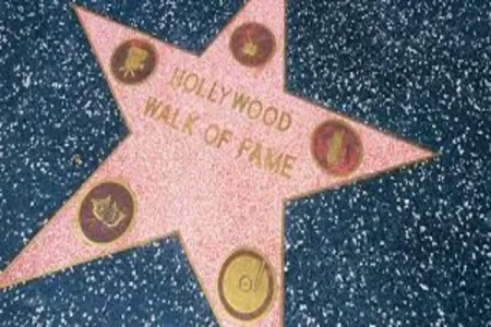 Hollywood walk of fame (1).webp Hollywood walk of fame (1).webp