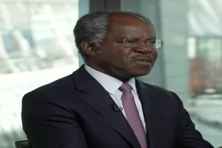 Adebayo-Ogunlesi (1).webp Adebayo-Ogunlesi (1).webp