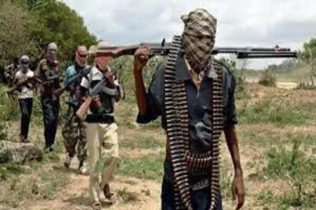 NAF Airstrike Eliminates 95 Terrorists in Niger