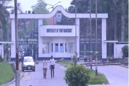 uniport (1).webp uniport (1).webp