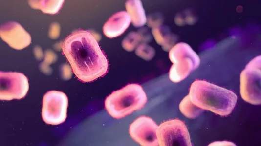 Mpox Outbreak in Benue: 31 Suspected, 7 Confirmed Cases
