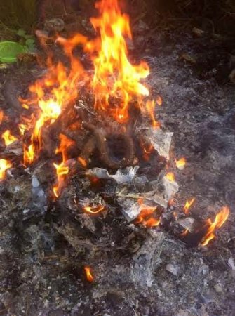 Fidelis Duker burning the dead cobras.jpg