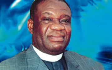 Minister-of-Power-Prof.-Chinedu-Nebo-360x225.jpg