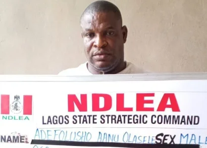 NDLEA Arrests Lagos Pastor for Smuggling Drugs into Nigeria