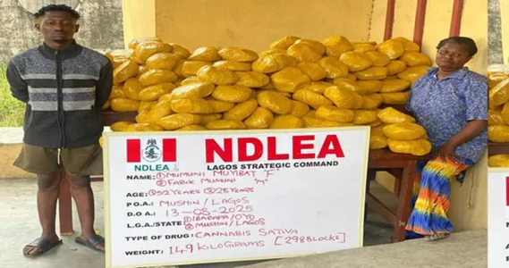 NDLEA Arrests Mother and Son for Distributing 298 Blocks of Cannabis in Lagos