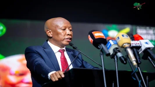 malema.webp malema.webp