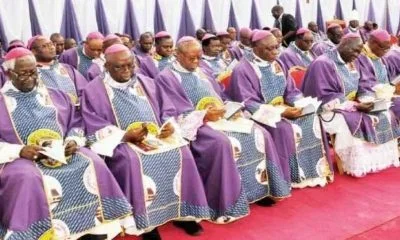 Nigerian Catholic Bishops Call for Government Regulation of IVF Clinics Amid Ethical Concerns
