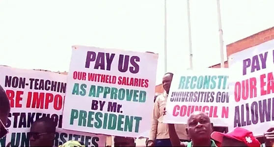 SSANU and NASU Issue 7-Day Strike Ultimatum Over Unresolved Allowances and Agreements