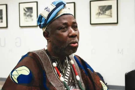 Nigerian Professor’s Salary Equals 3 Hours of a US Gardener’s Pay – Former OAU VC