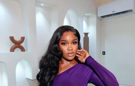 ceec bbnaija.webp ceec bbnaija.webp