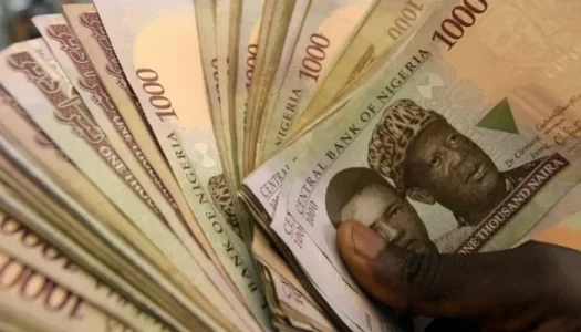 Naira notes.webp Naira notes.webp