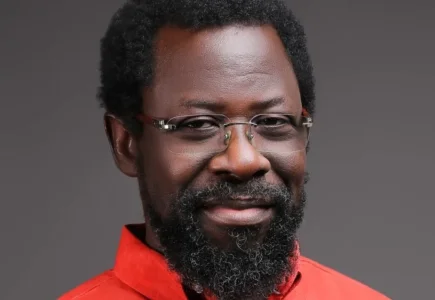 "We're Only Mimicking Democracy": Farotimi's Scathing Verdict on Nigeria