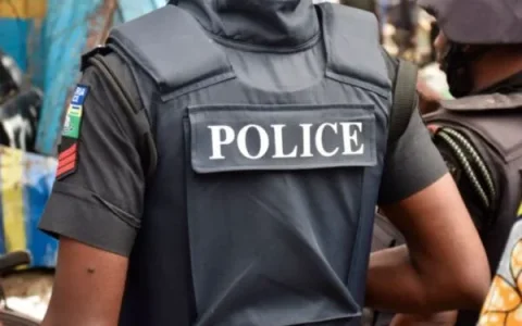 Police Detain IPOB Leader's Brother, Attorney at #FreeNnamdiKanu Rally